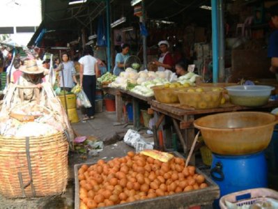VENTA (7)  ALIMENTOS ELABORACION